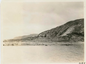Image of Tabor Island- Labradorite
